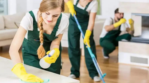 Housekeeping 101: Essential Skills and Techniques Every Homeowner Should Know